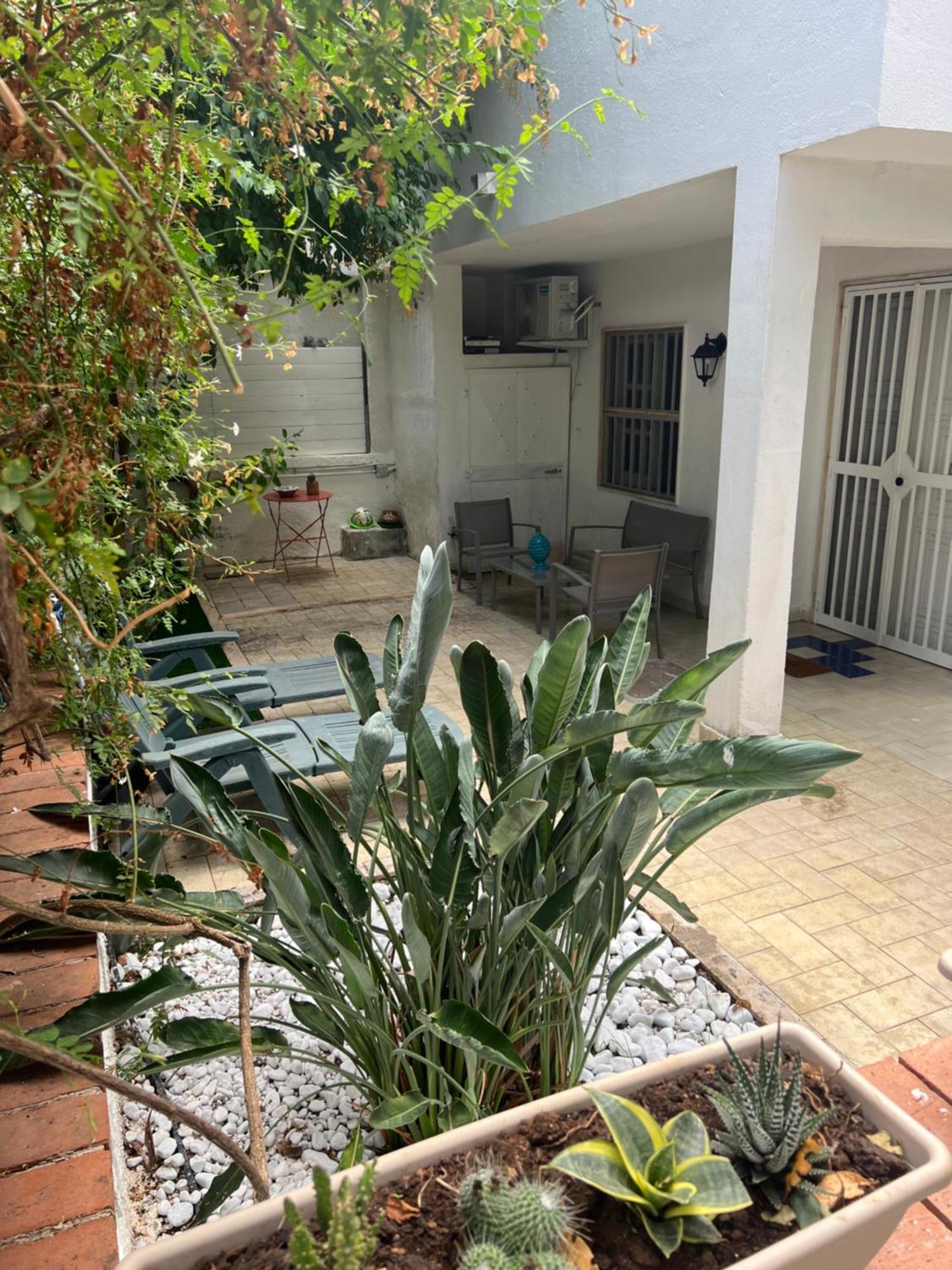 Villa Apollo Mondello Palermo Eksteriør bilde